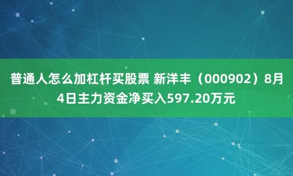 普通人怎么加杠杆买股票 新洋丰（000902）8月4日主力资金净买入597.20万元