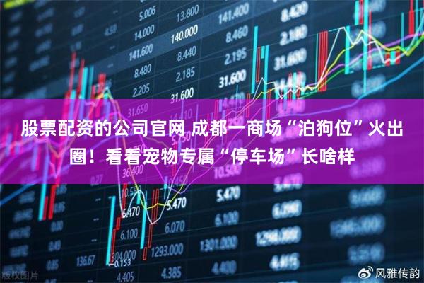股票配资的公司官网 成都一商场“泊狗位”火出圈！看看宠物专属“停车场”长啥样