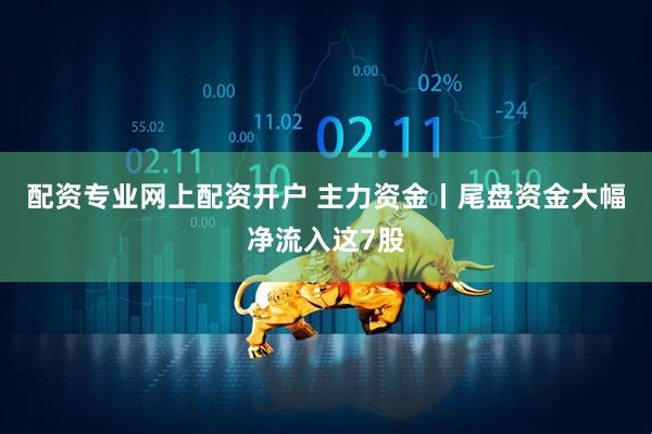 配资专业网上配资开户 主力资金丨尾盘资金大幅净流入这7股